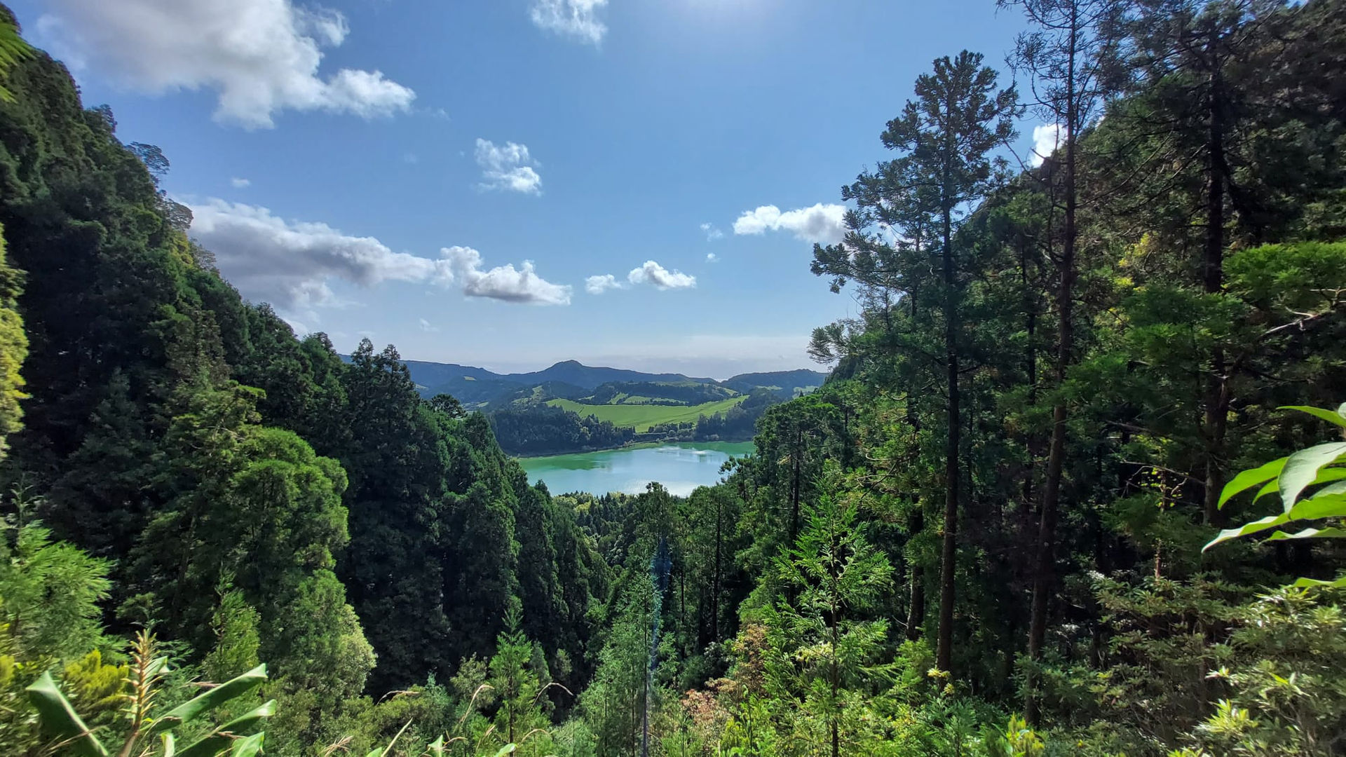 Overlooking Lagoa das Furnas From the trails of Grená, São Miguel Island