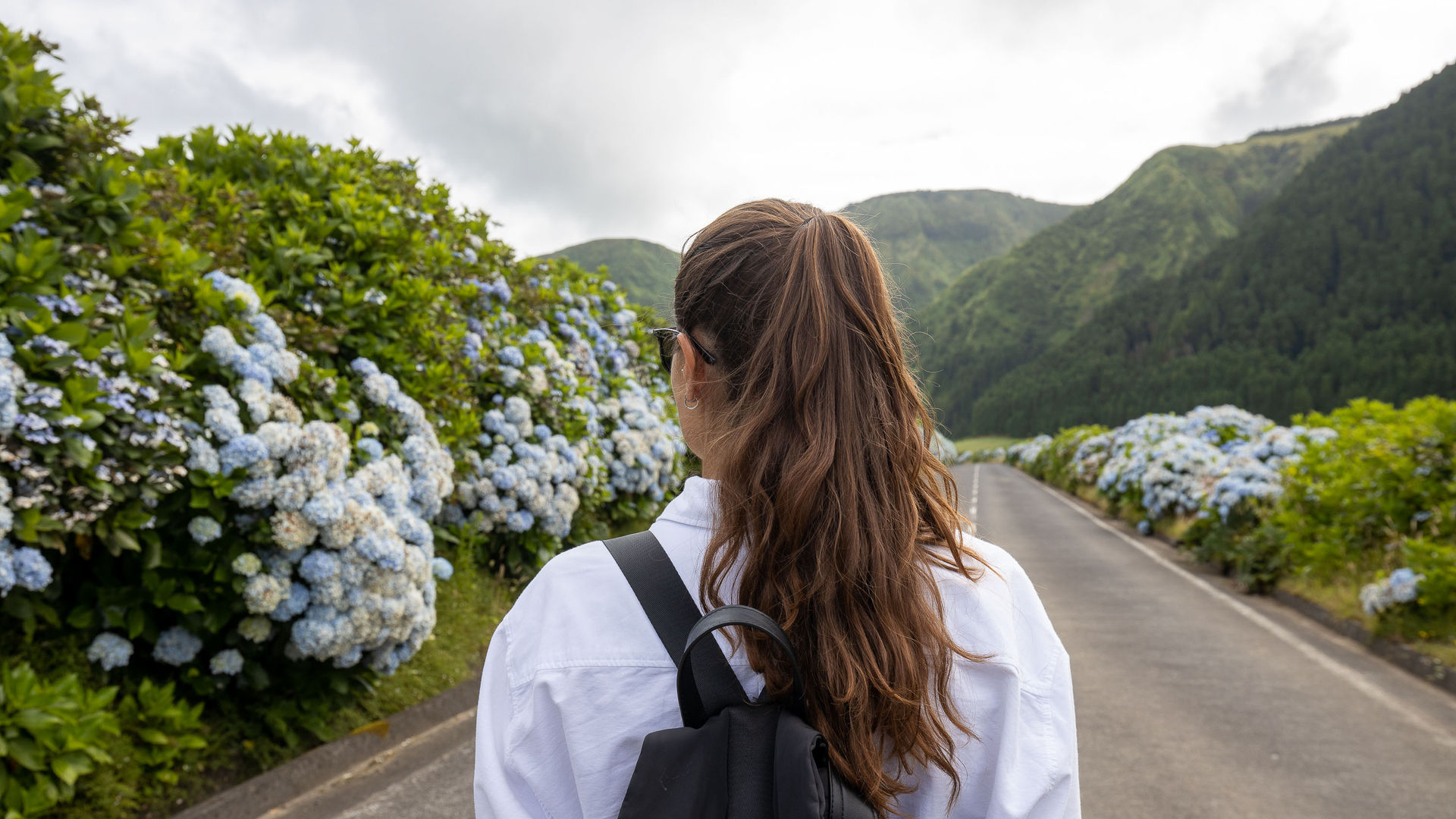 Stopping to admire hydrangeas, Sete Cidades  