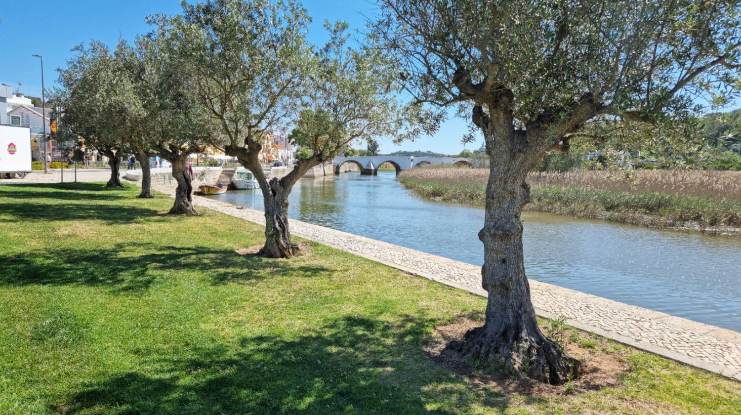<p>Free Day in Algarve</p>