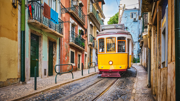 <p>Free Day in Lisbon</p>