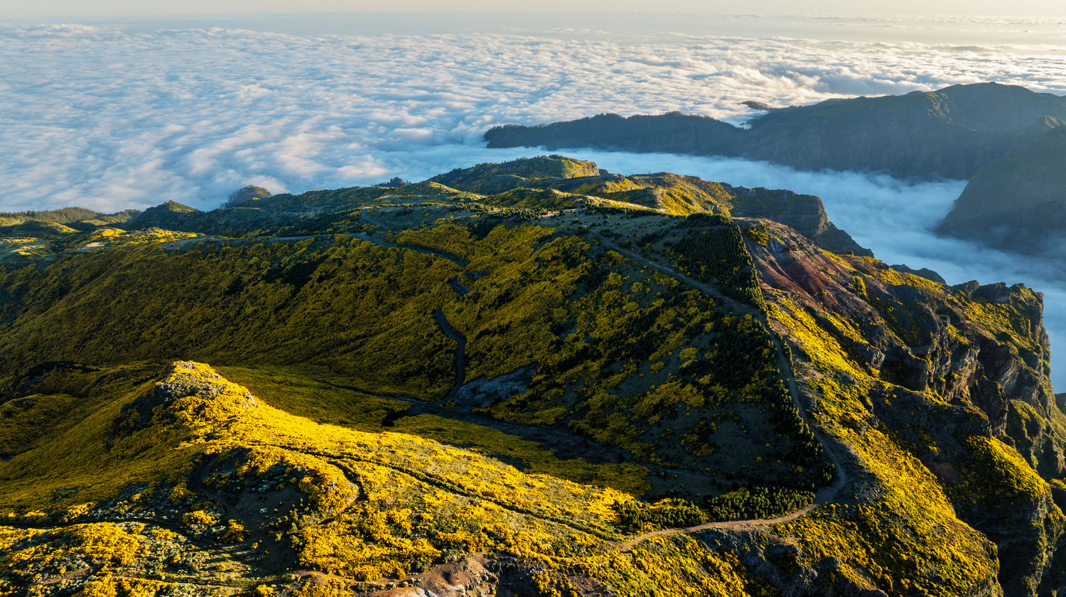 Laurissilva Forest & Natural Pools Adventure