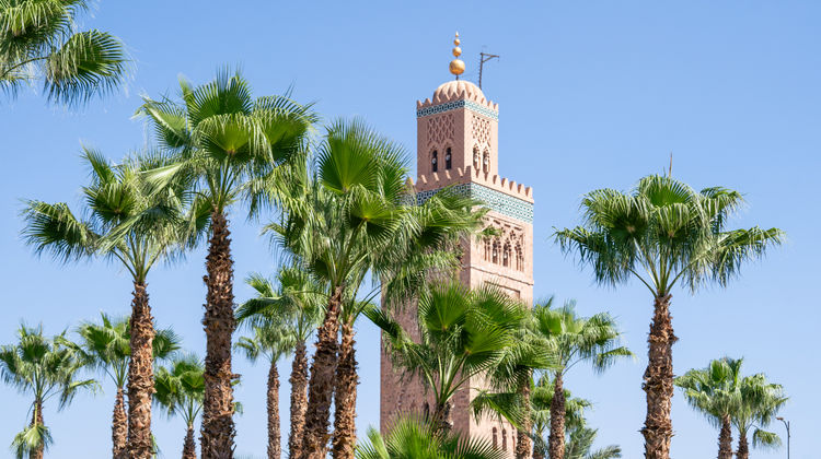 A peaceful garden oasis in Marrakesh, with lush greenery, tranquil fountains, and the serene ambiance of Moroccan architecture.