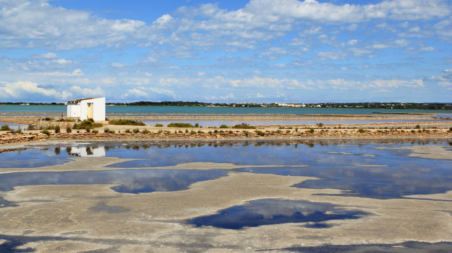 Ses Salines