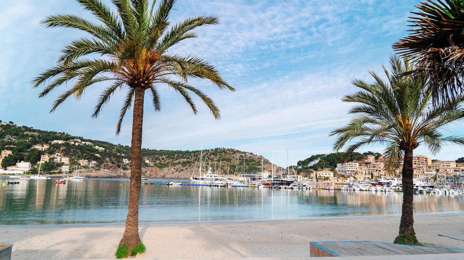 Soller