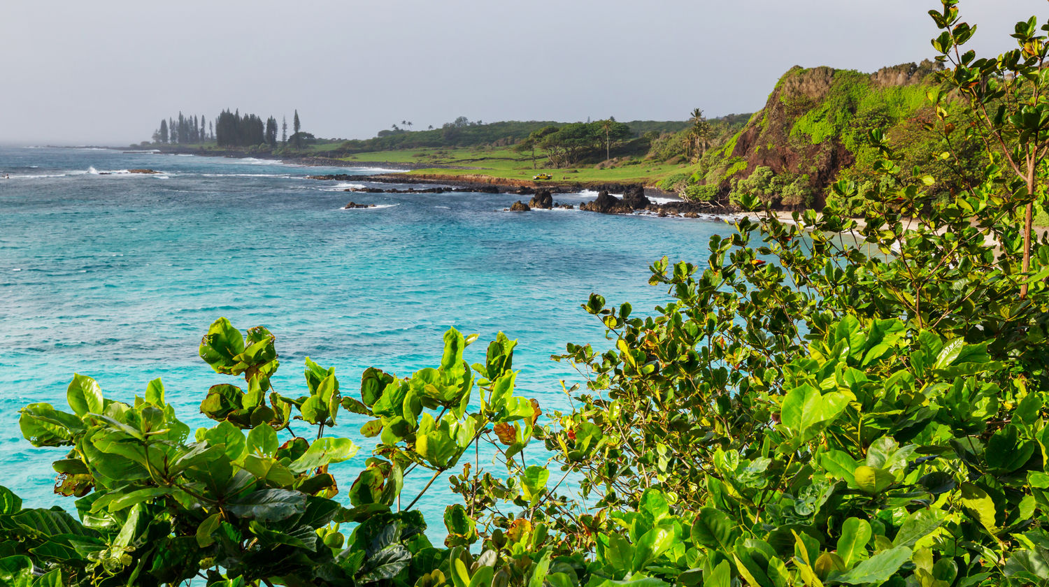 Maui’s Natural Wonders & Scenic Views