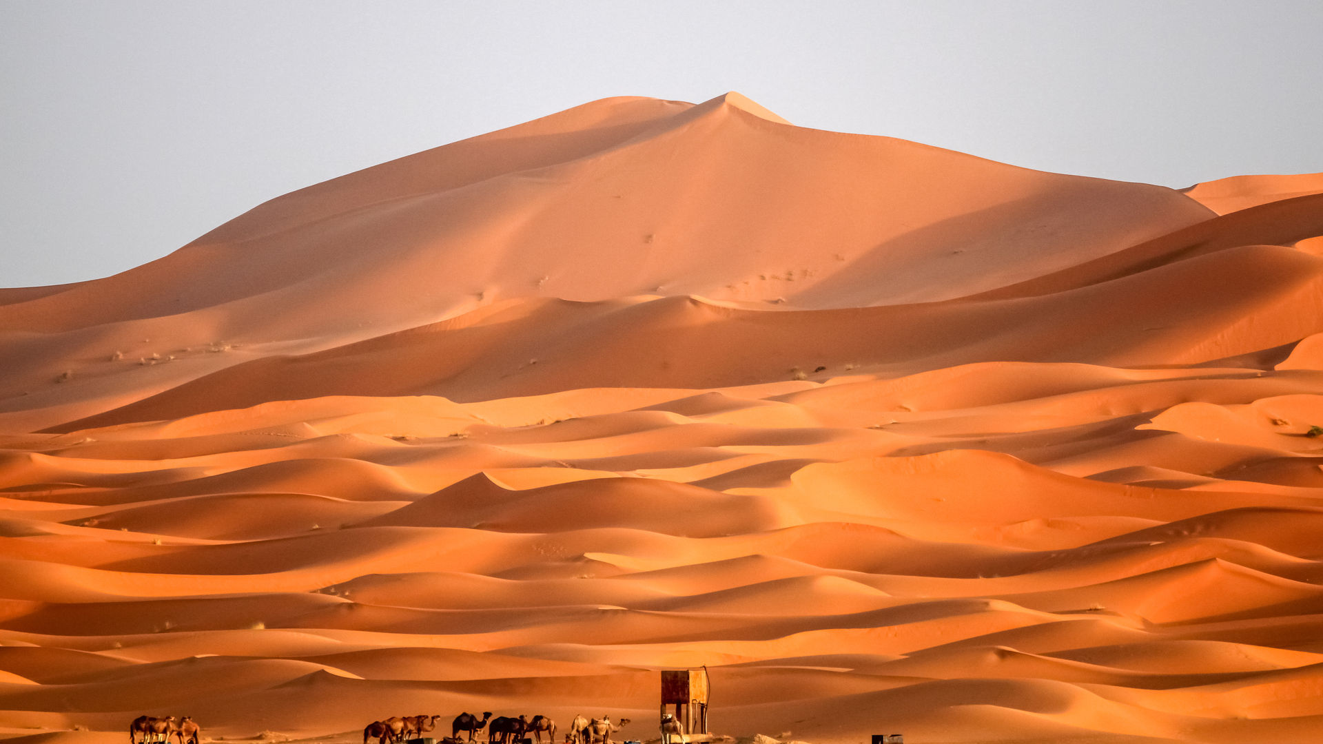 Merzouga