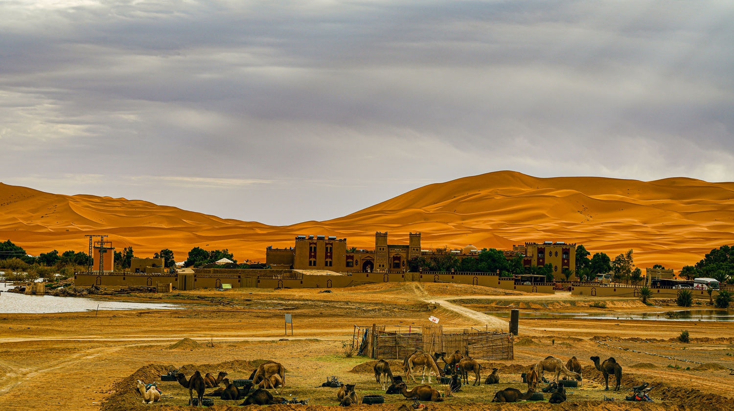 Merzouga