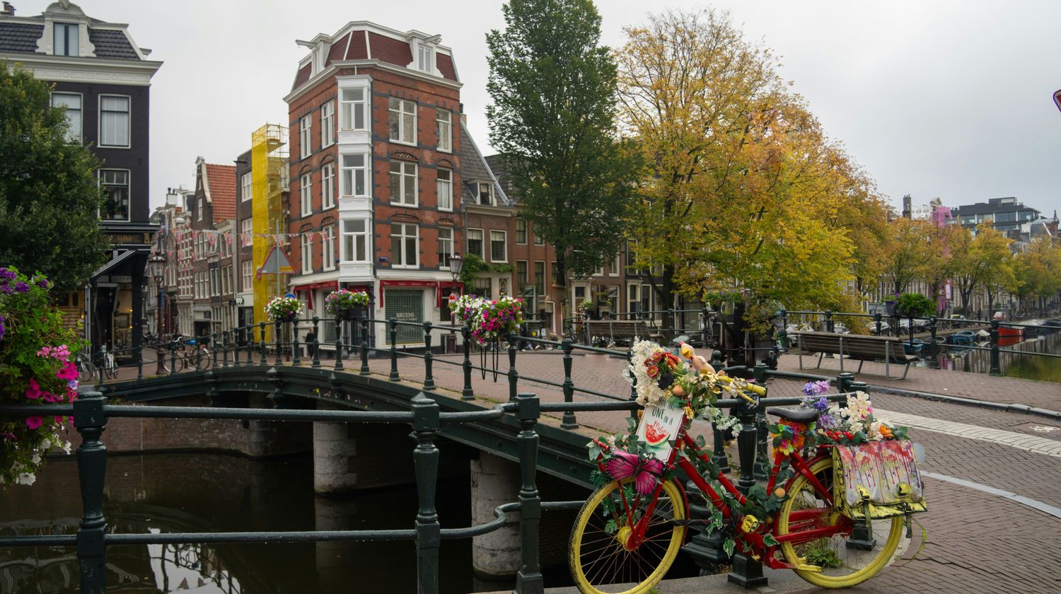 Canal Bridge, Amsterdam, Netherlands