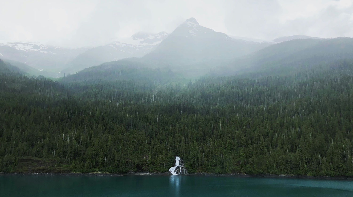 Misty Fjords National Monument, Alaska, USA
