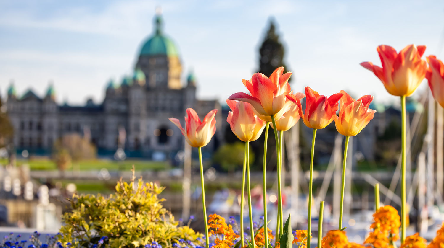 British Columbia Parliament Buildings, Victoria, Canada