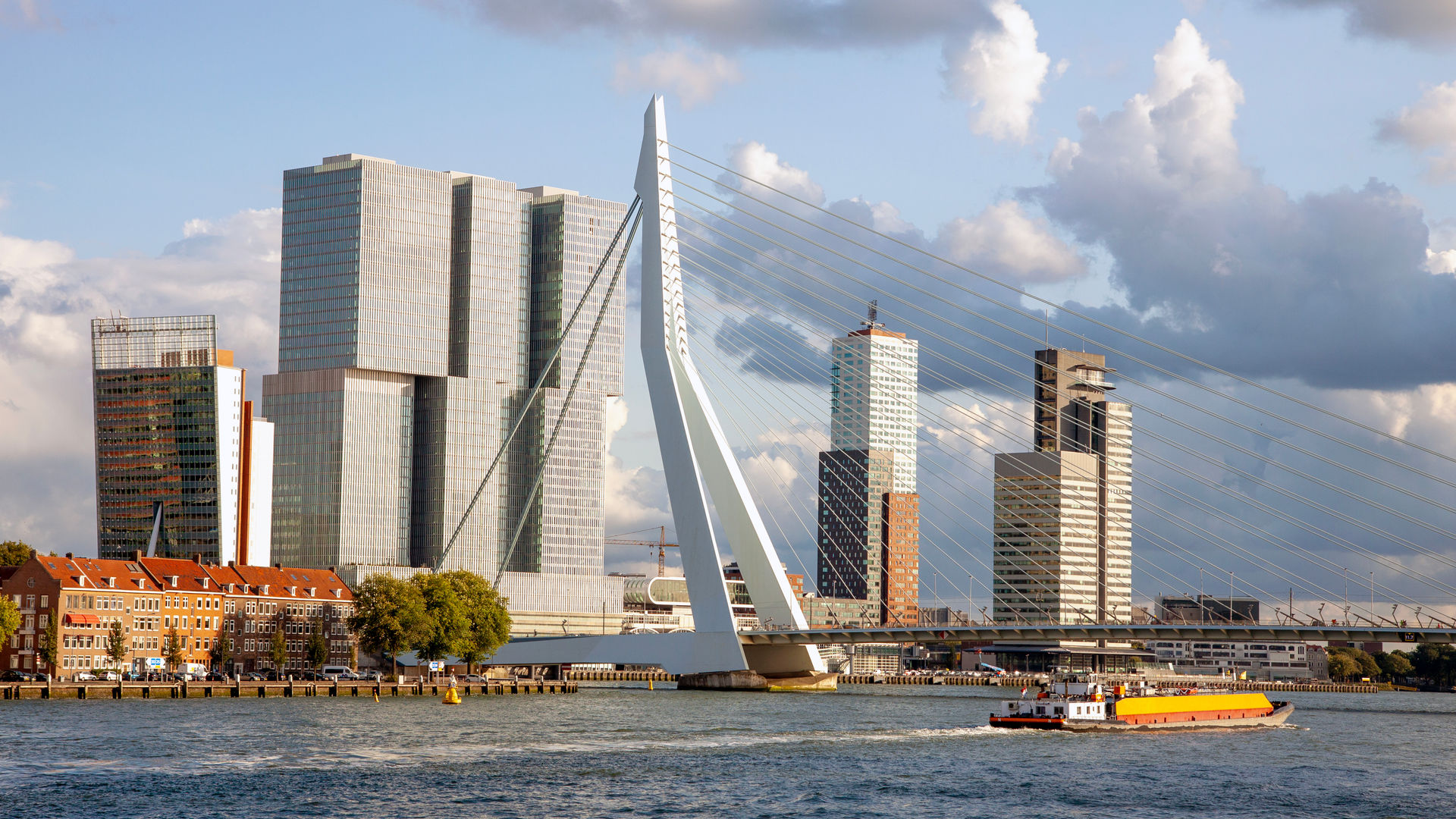Erasmus Bridge, Rotterdam, Netherlands