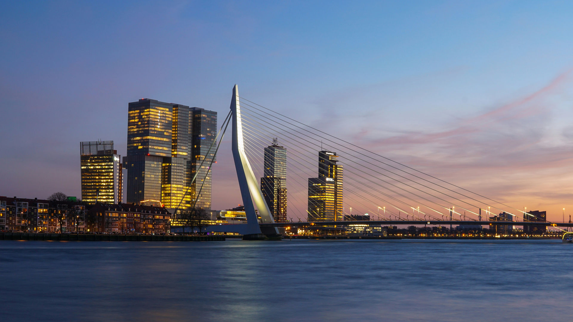 Erasmus Bridge, Rotterdam, Netherlands