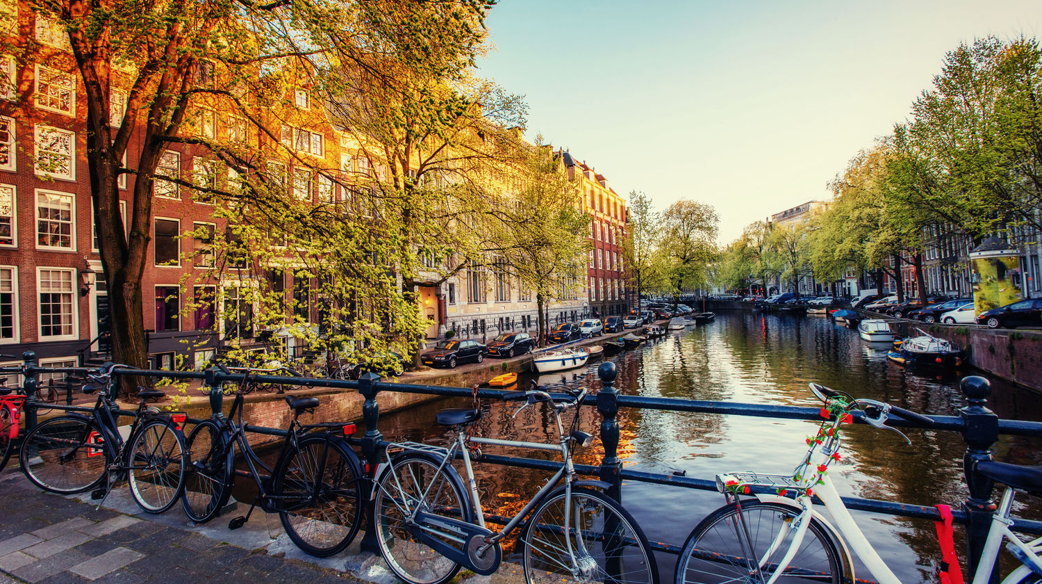 <b>Train: Paris → Amsterdam</b>