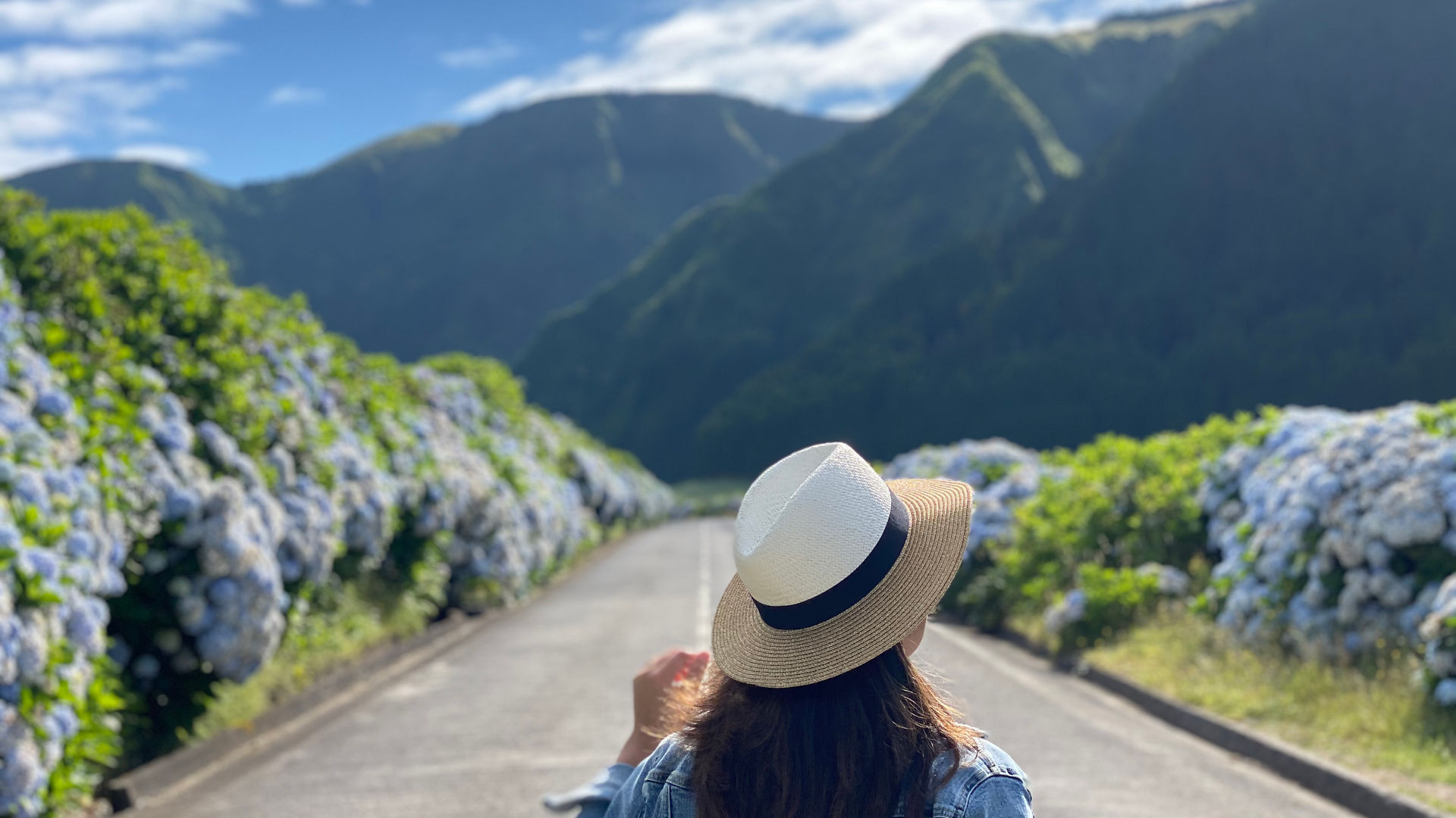 Hydrangea-lined road in Sete Cidades, São Miguel Island