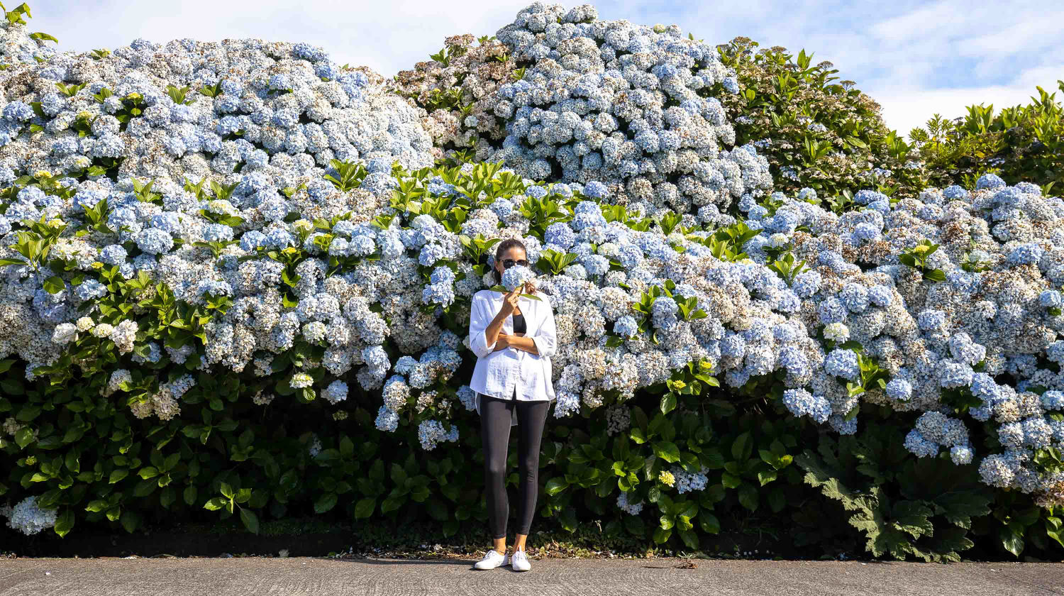 Woman admiring blooming hydrangeas in São Miguel, Azores