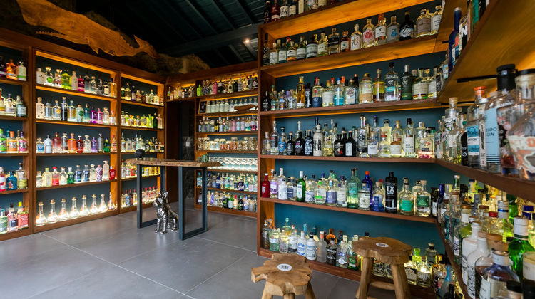 Shelves filled with hundreds of gin bottles at the Gin Library, Solar Branco Eco Estate, São Miguel Island, Azores