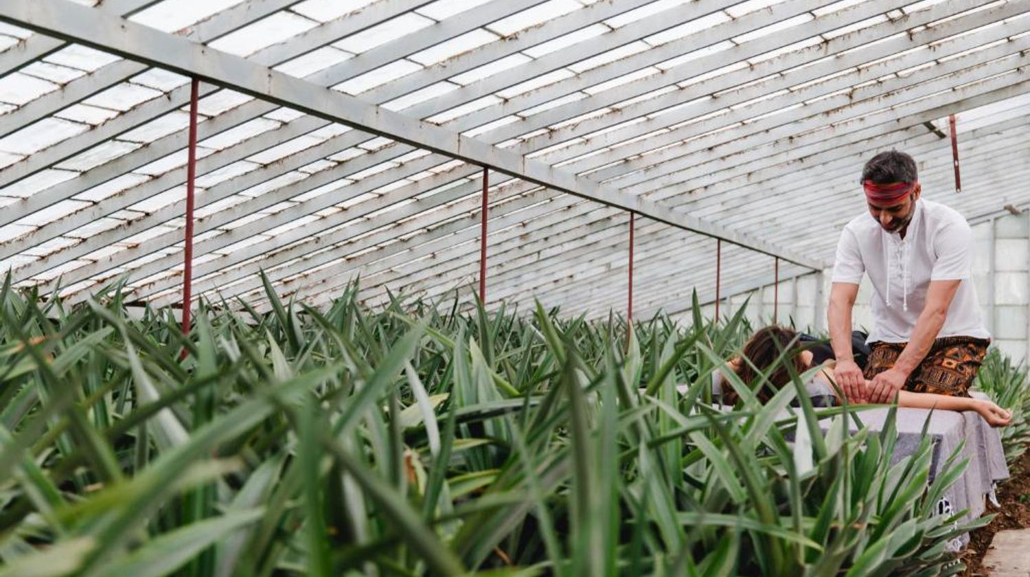 Pineapple Greenhouse, São Miguel Island
