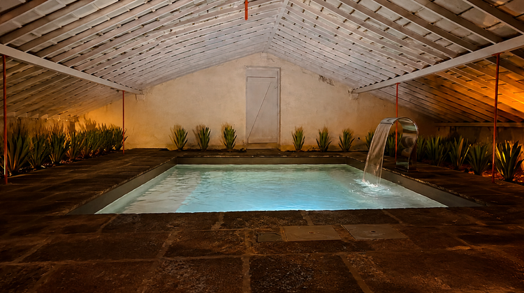 São Miguel: Azores Pineapple Experience