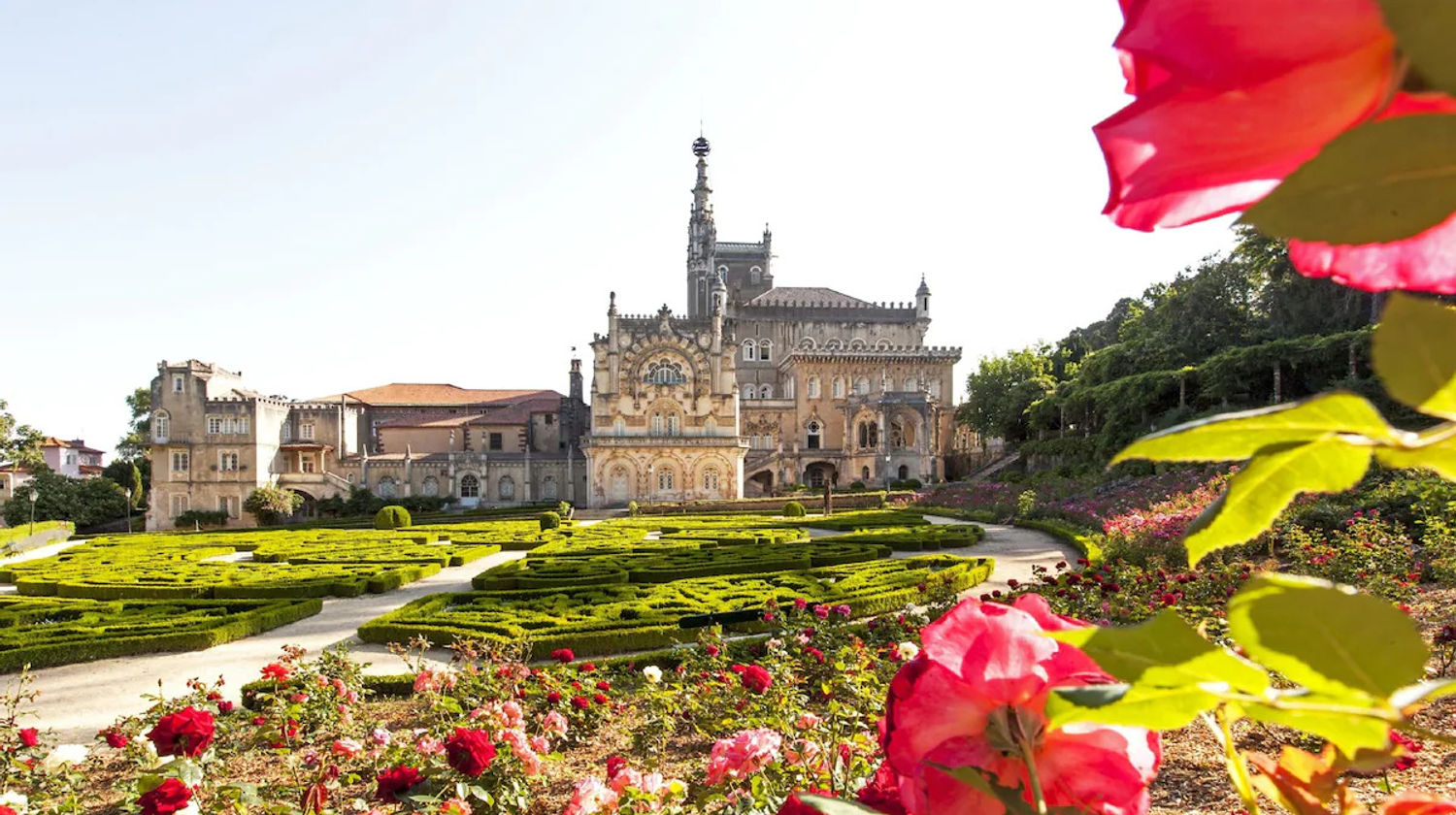 <p><strong>Drive from Douro to Bussaco Palace Hotel, Bairrada. </strong>2 hours, 170 km (105 mi)</p>