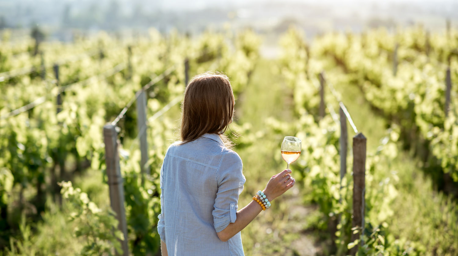 Vineyards in Portugal