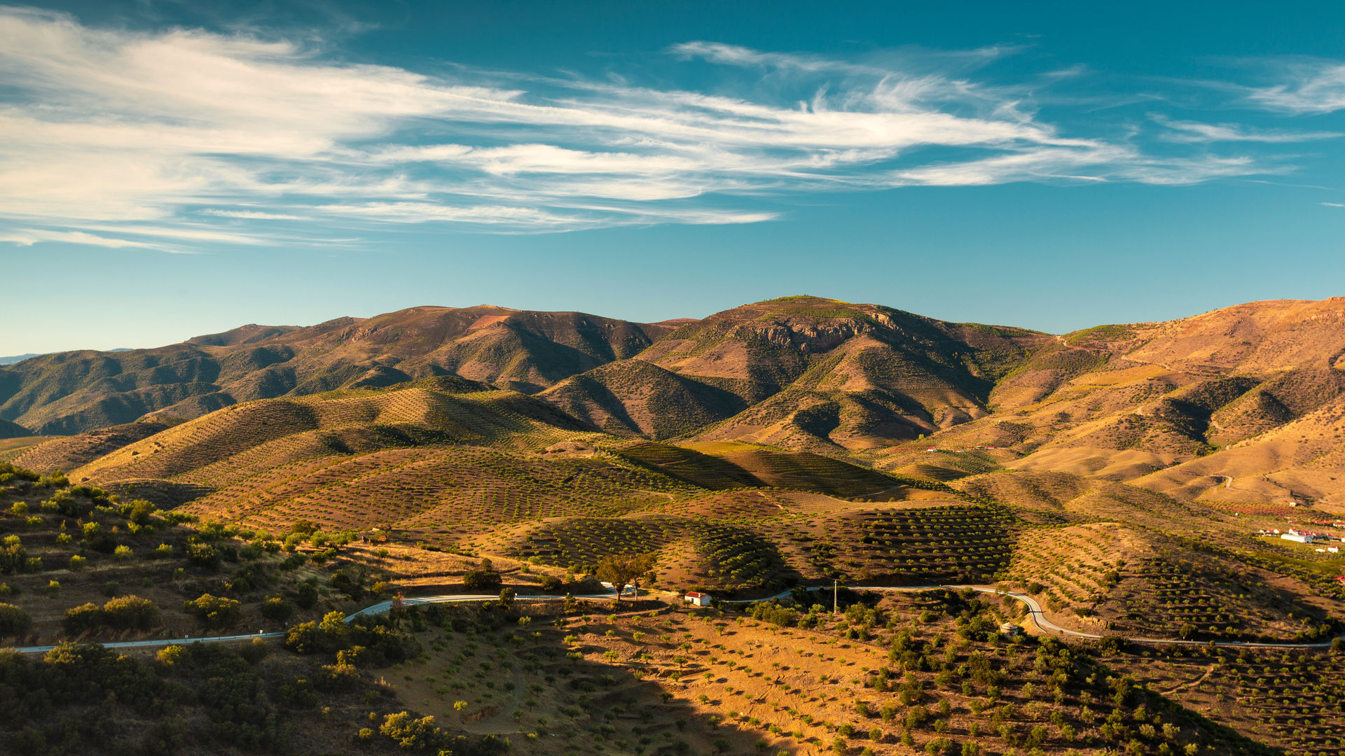 Douro Valley Hills, Douro Valley