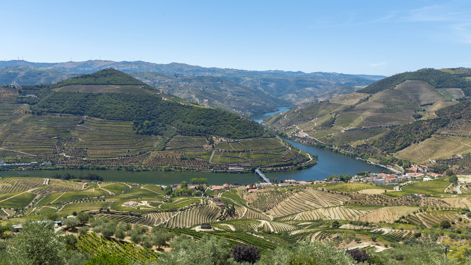 Douro Valley