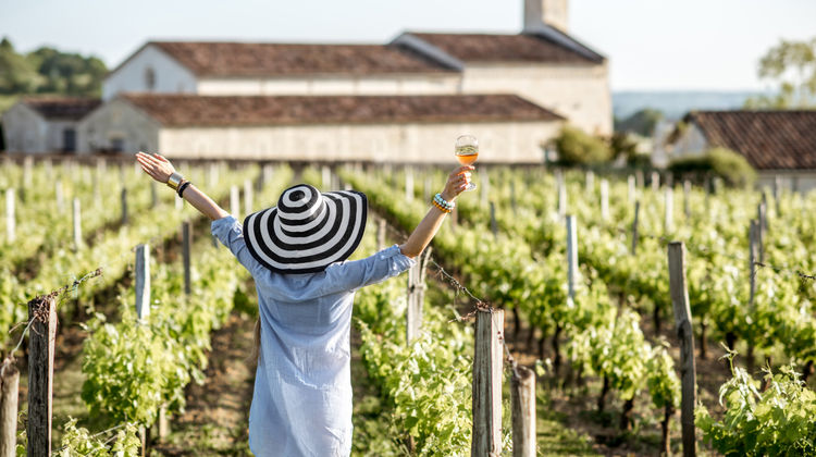 Explore Portugal’s Vineyards Under the Sun