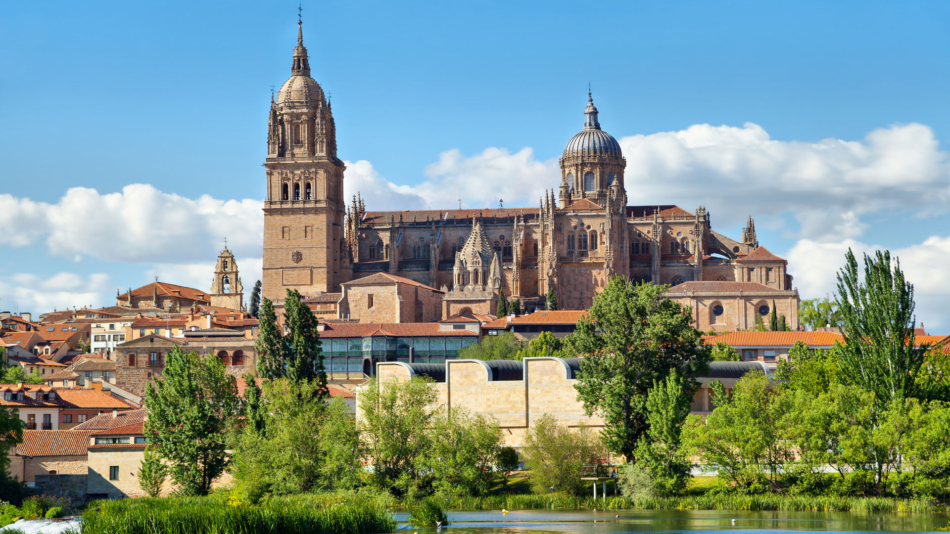 New Cathedral Reflected in the Calm of the Riverside, Salamanca, Spain