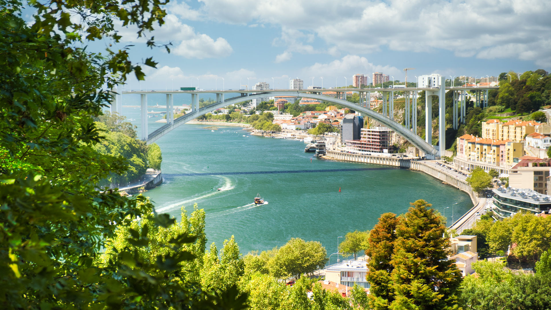 Framing the Arrábida Bridge Through Nature, Porto, Portugal
