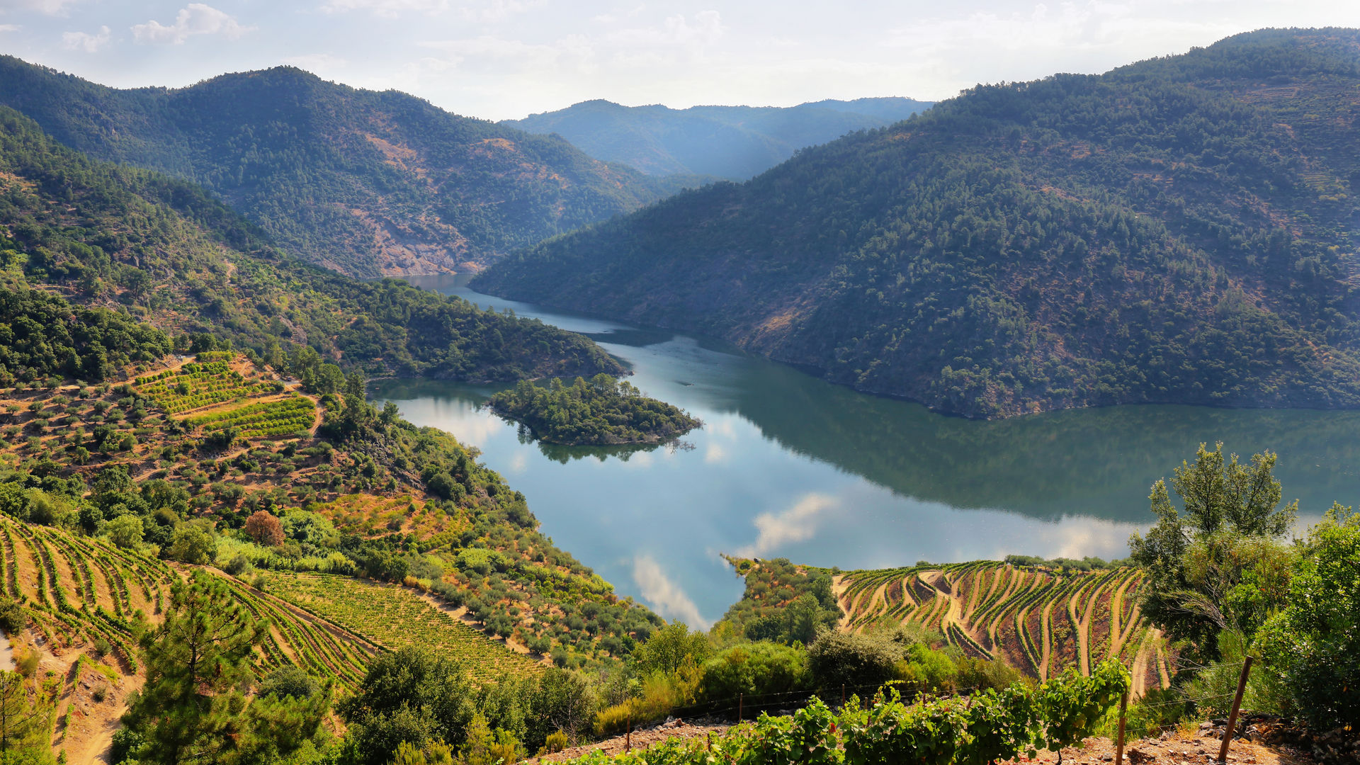 The Breathtaking Vineyards of Douro Alto