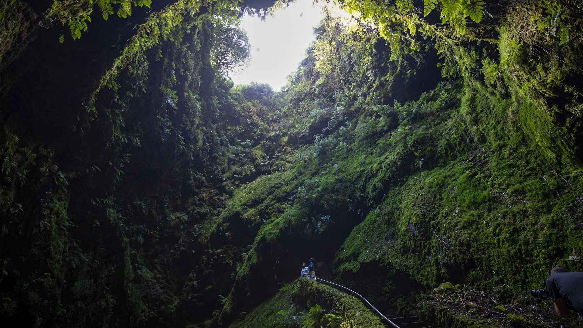 Algar do Carvão, Terceira Island: A Journey Into the Earth