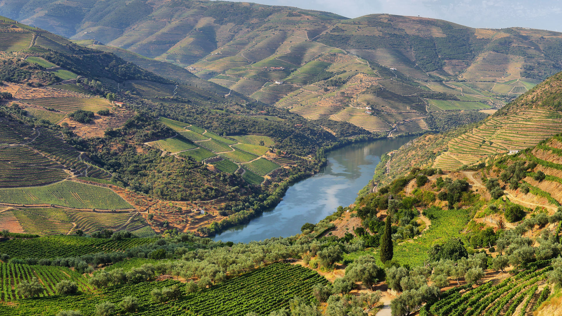 Douro Valley - Included Tour in Porto
