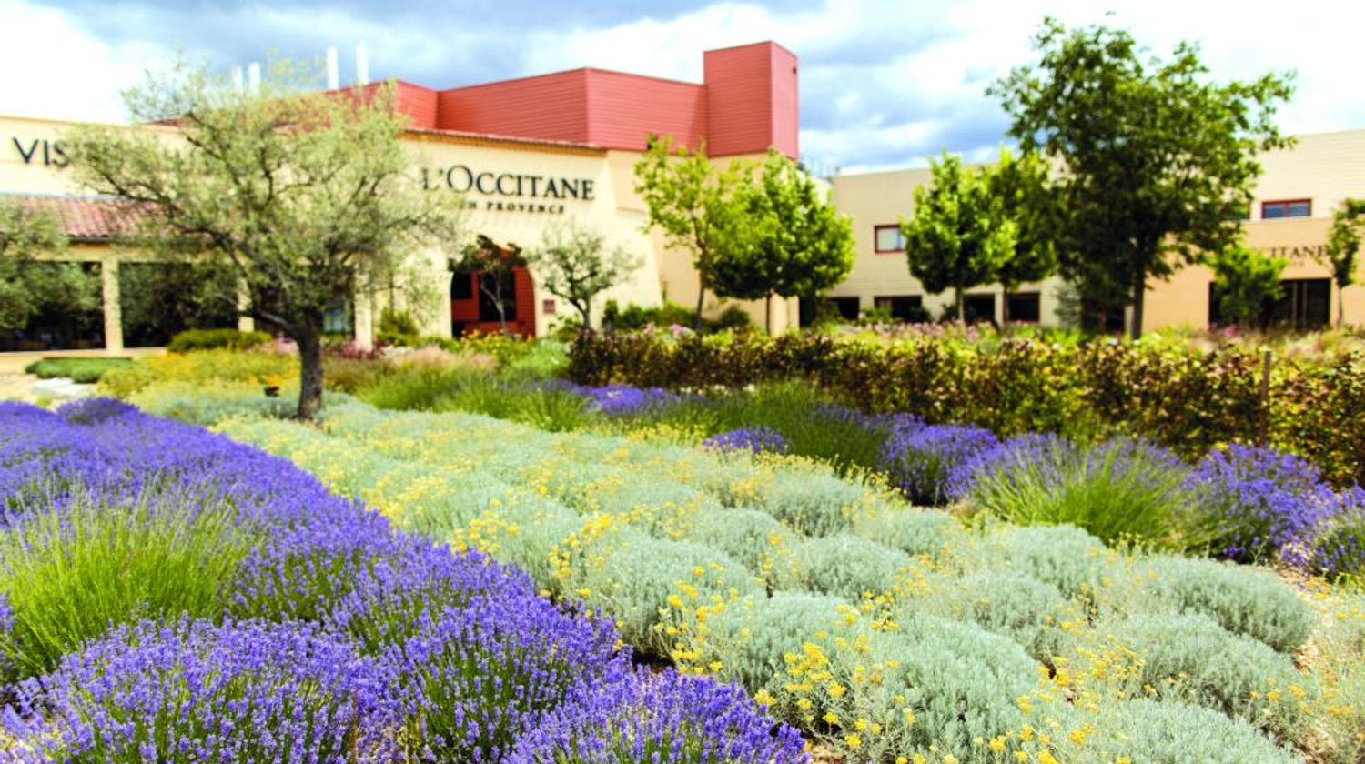 L'Occitane Production (Optional visit)