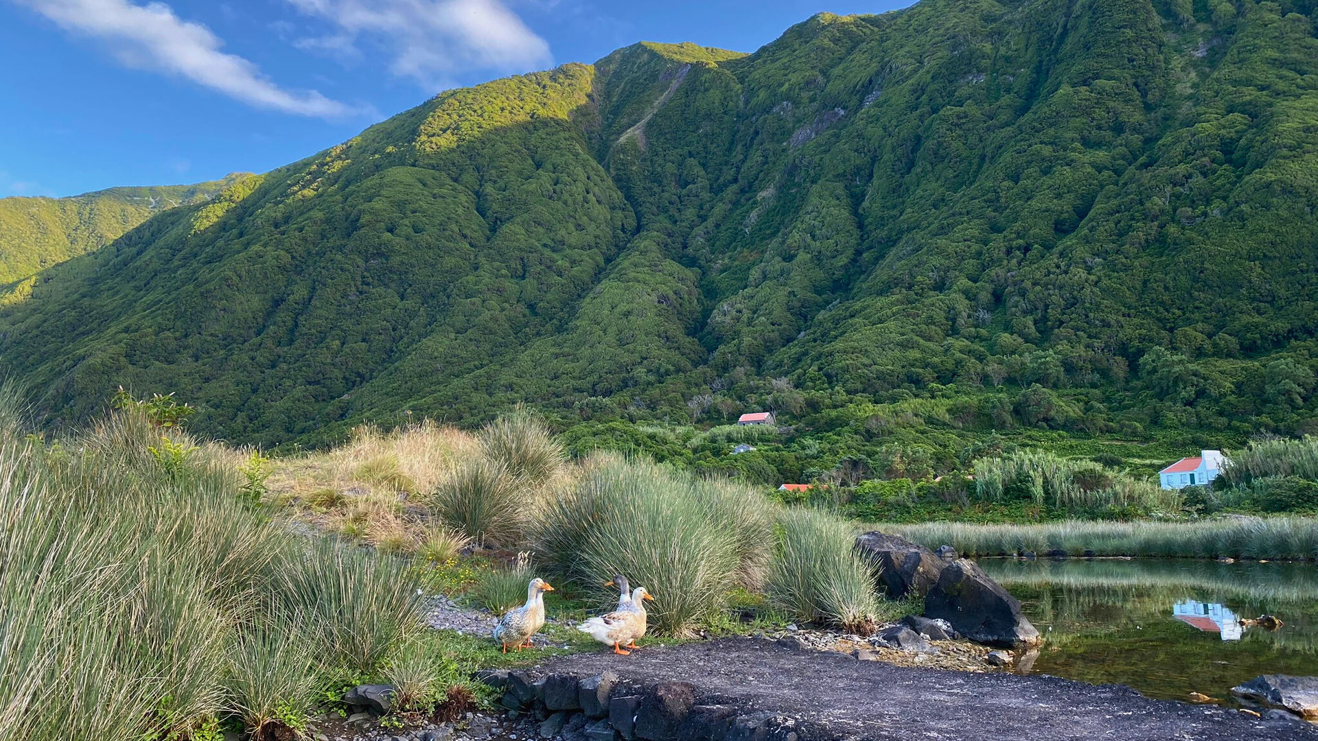 Fajã dos Cubres in São Jorge Island, photo by our Portuguese Market Manager João