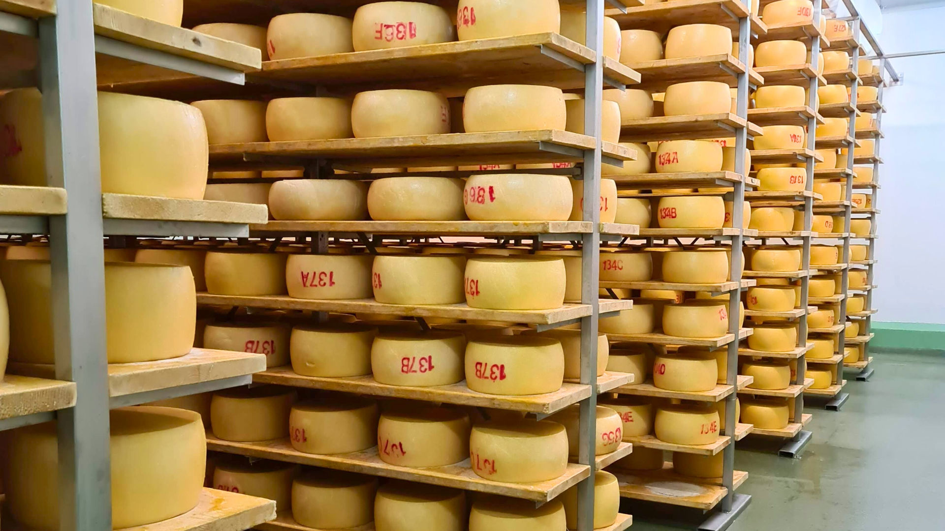 Locally Produced Cheese from São Jorge Island, photo by our Portuguese Market Manager João