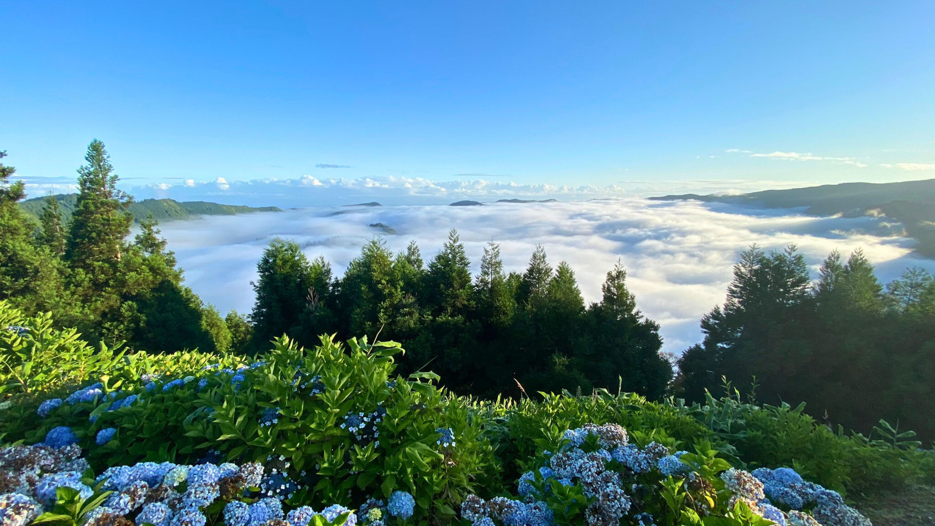 Misty Mornings at Vista do Rei Viewpoint, São Miguel Island
