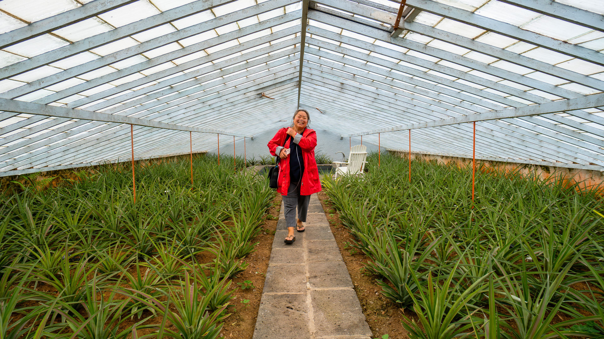 Real Clients Enjoying Our Private Heritage Tour - Pineapple Plantations