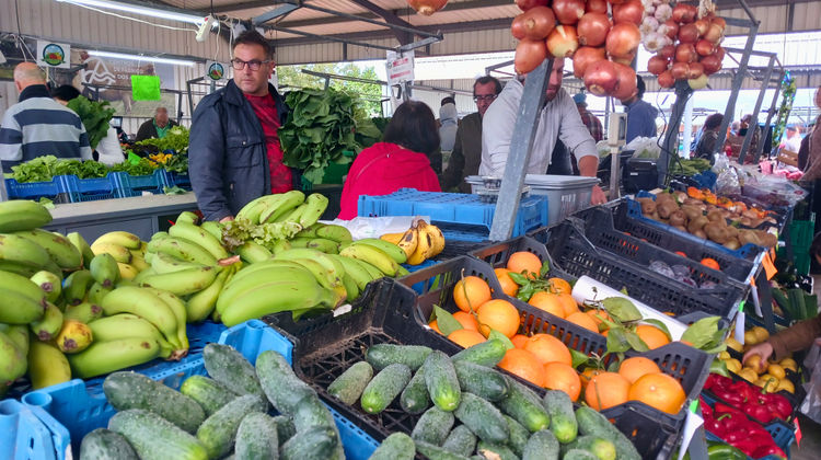 Santana Farmers' Market, photo by our Quality Assurance Analyst Marina