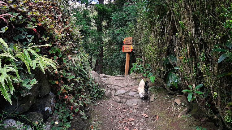 Salto do Prego/Sanguinho Trail, photo by our Quality Assurance Analyst Marina