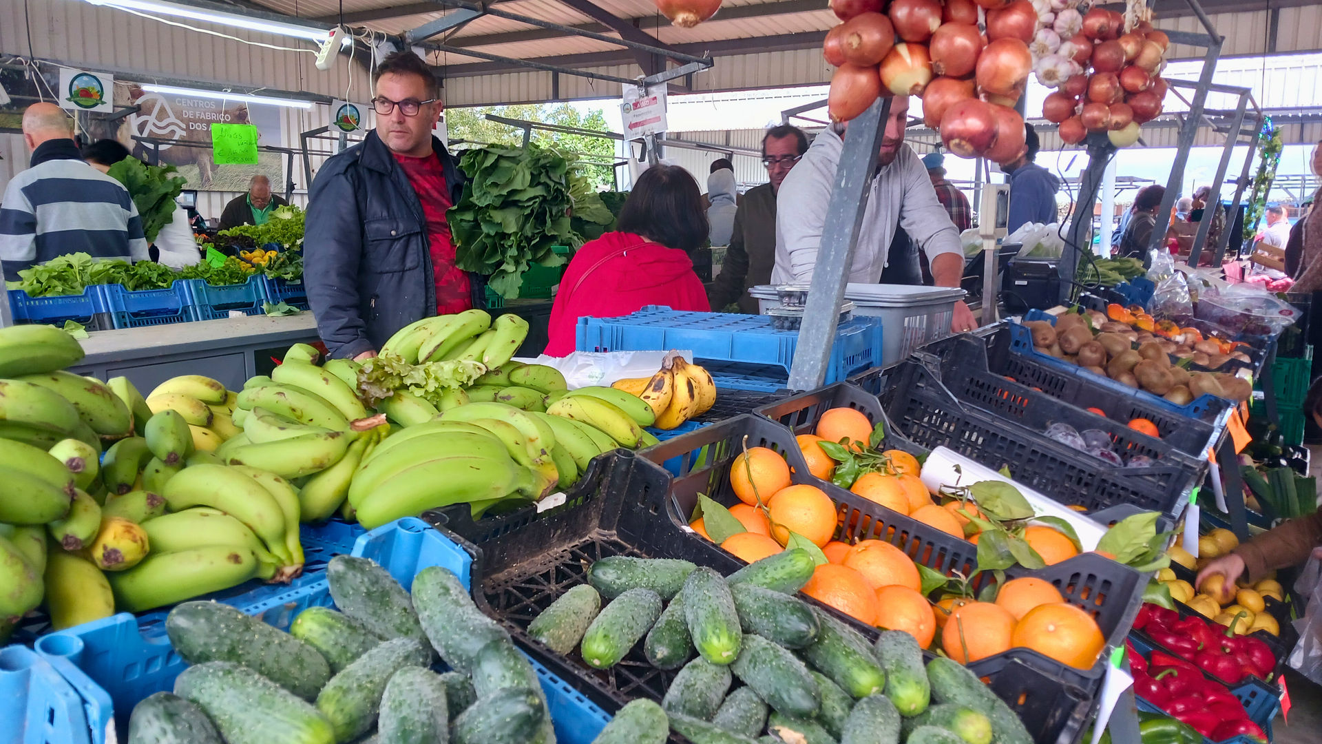 Santana Farmers' Market, photo by our Quality Assurance Analyst Marina