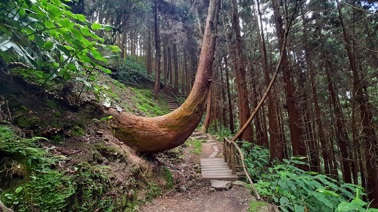 Moinho do Félix Trail, photo by our Quality Assurance Analyst Marina