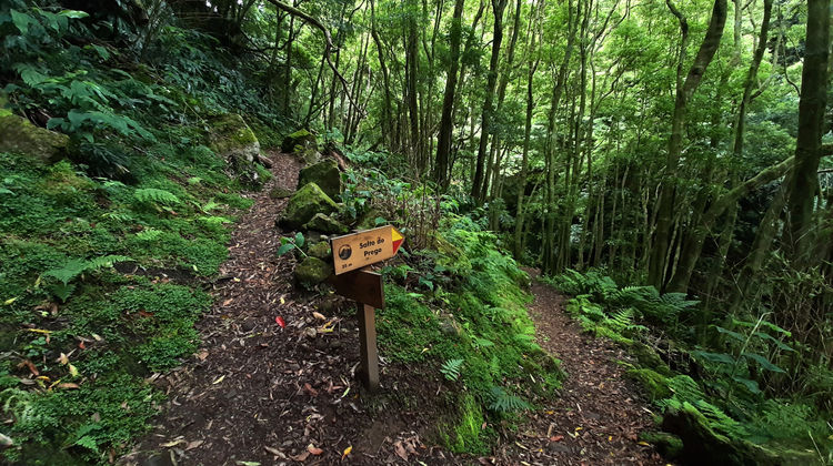 Salto do Prego/Sanguinho Trail, photo by our Quality Assurance Analyst Marina