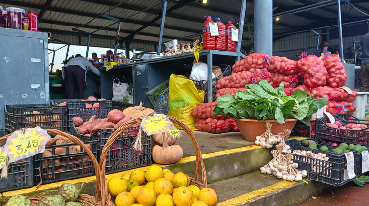 Santana Farmers' Market, photo by our Quality Assurance Analyst Marina