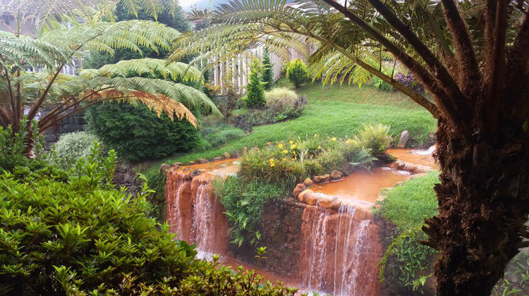 Poça da Dona Beija in Furnas, photo by our Quality Assurance Analyst Marina