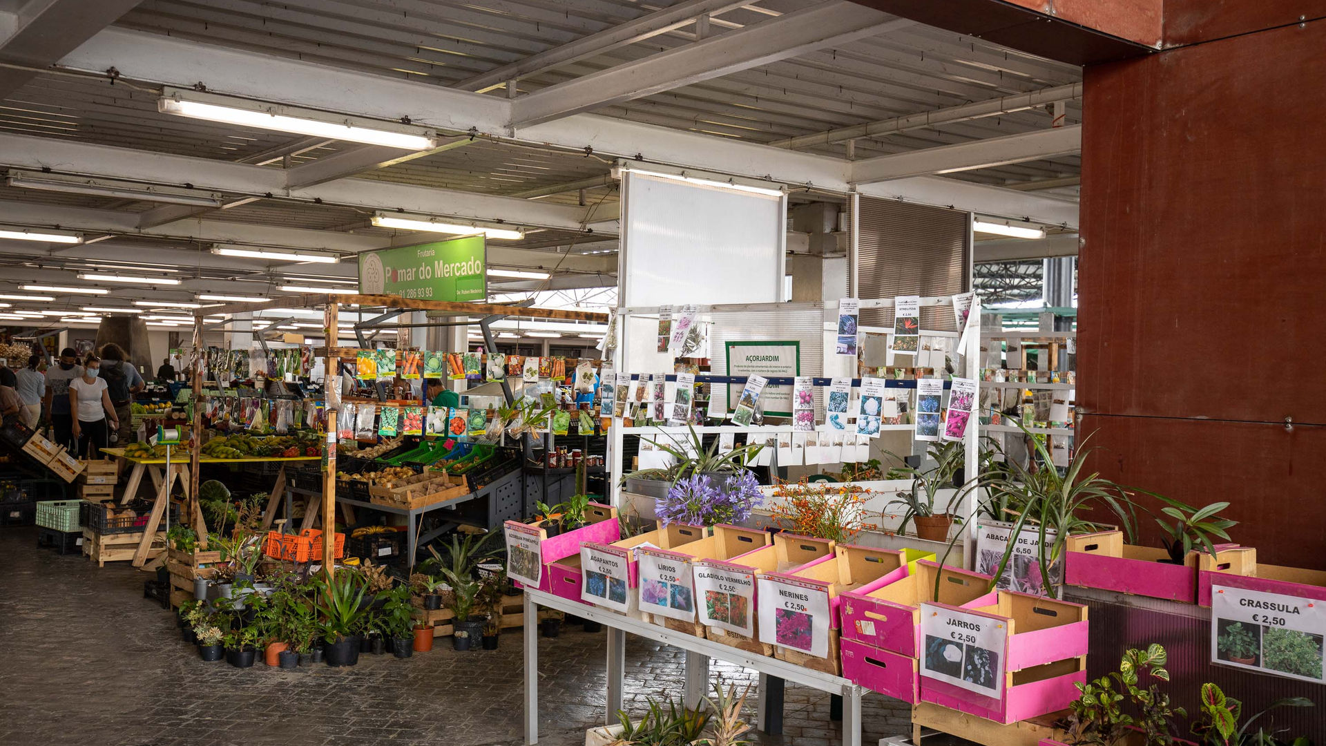 Mercado da Graça, Farmers Market in Ponta Delgada
