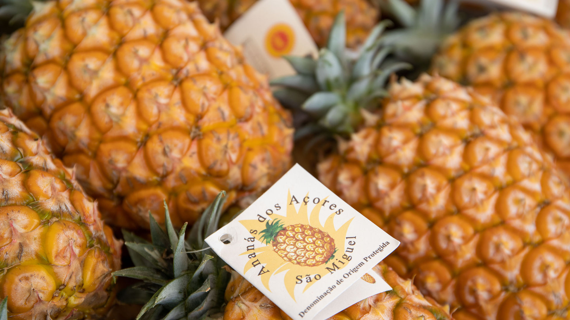 Ananás dos Açores Pineapple Plantation, Ponta Delgada