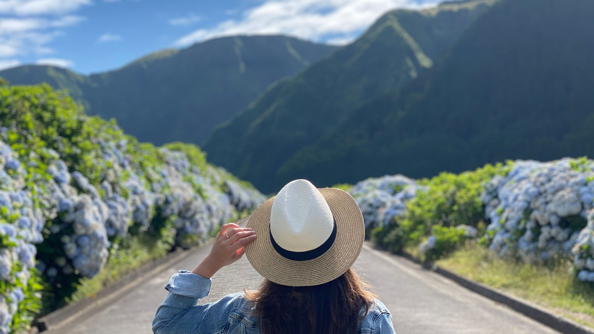 Hydrangea Road, Sete Cidades