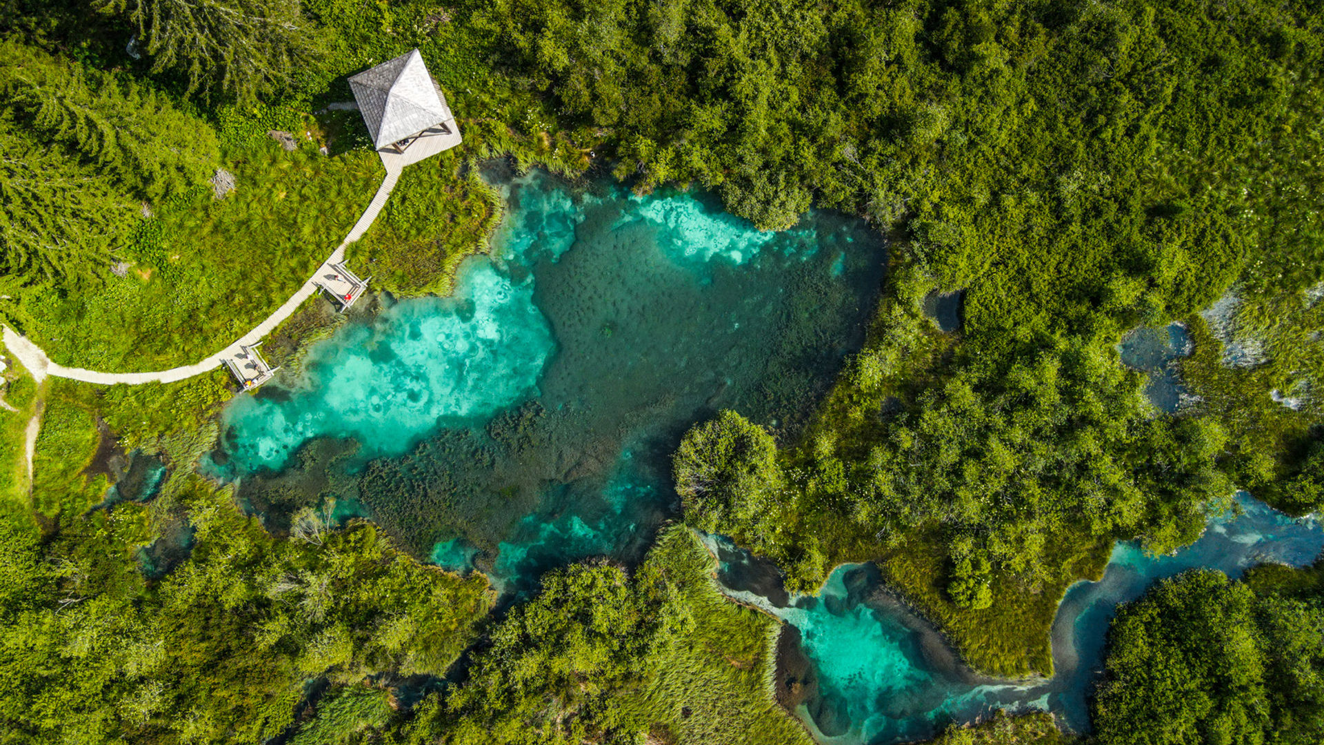 Zelenci Nature Reserve - Slovenia