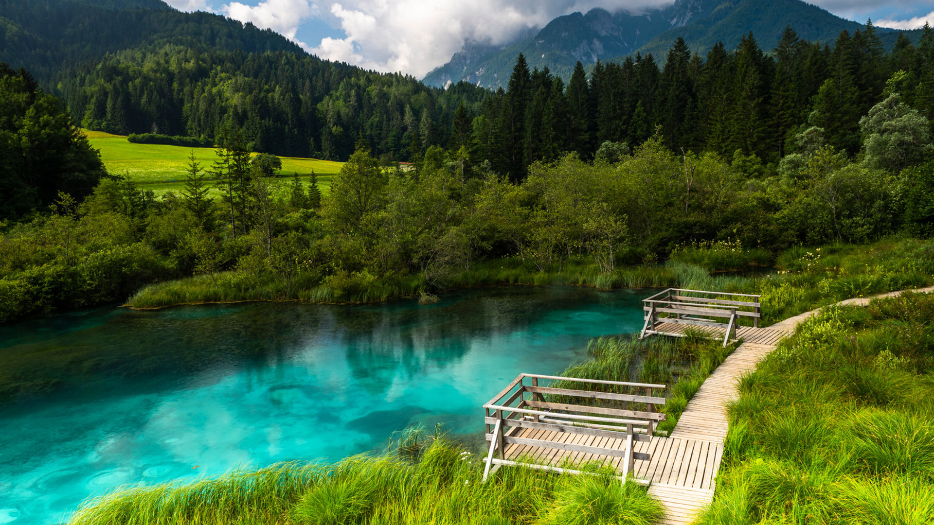 Zelenci Nature Reserve - Slovenia