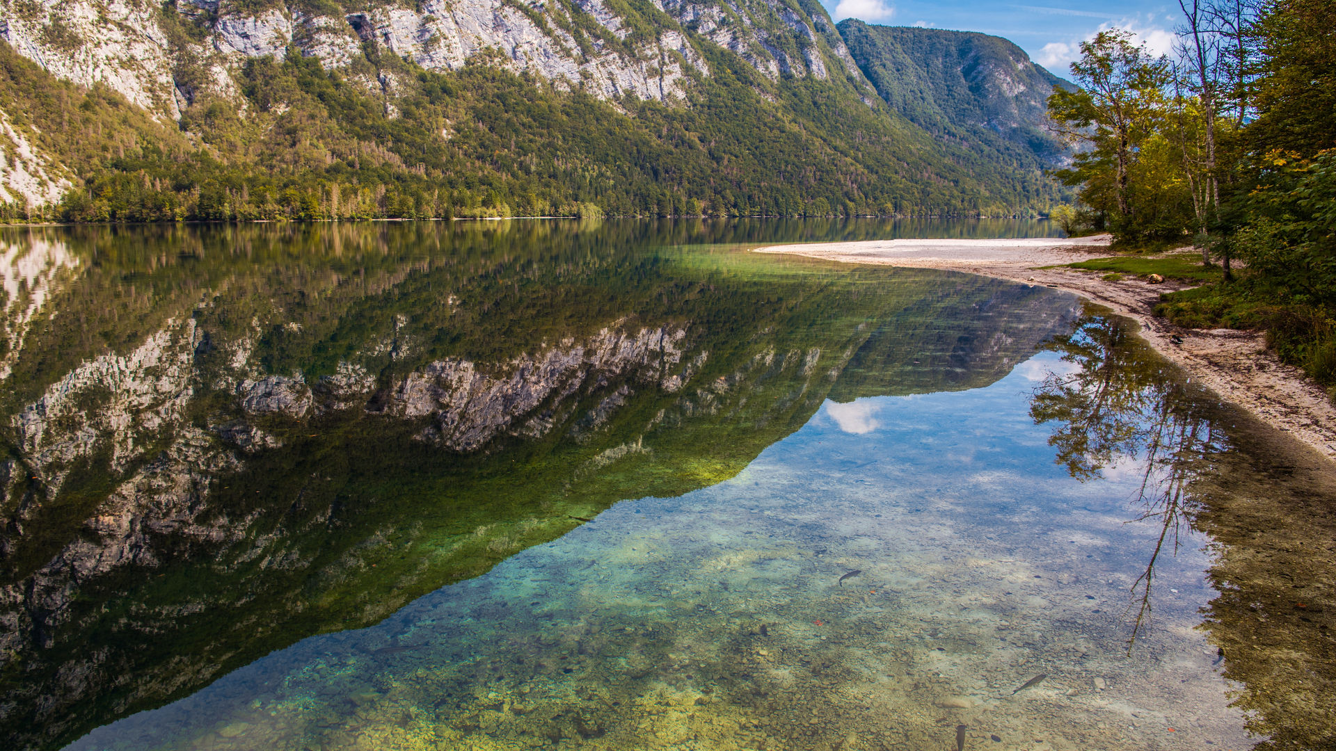 Lake Bohinj - Slovenia